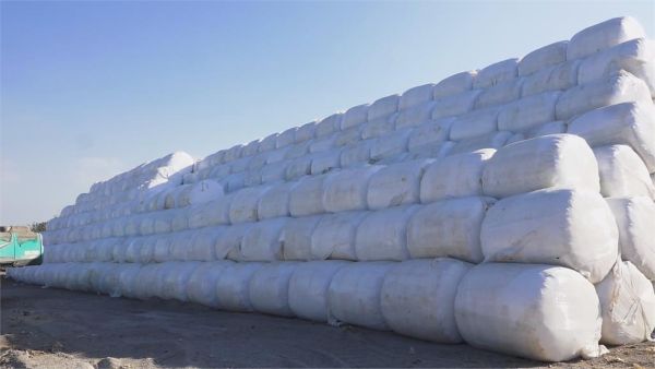 Taichung City Launches “Garbage Sorting and Baling Project” — Compressing and Reducing Waste Volume to Clear Exposed Trash at the Dali Landfill | FTV 